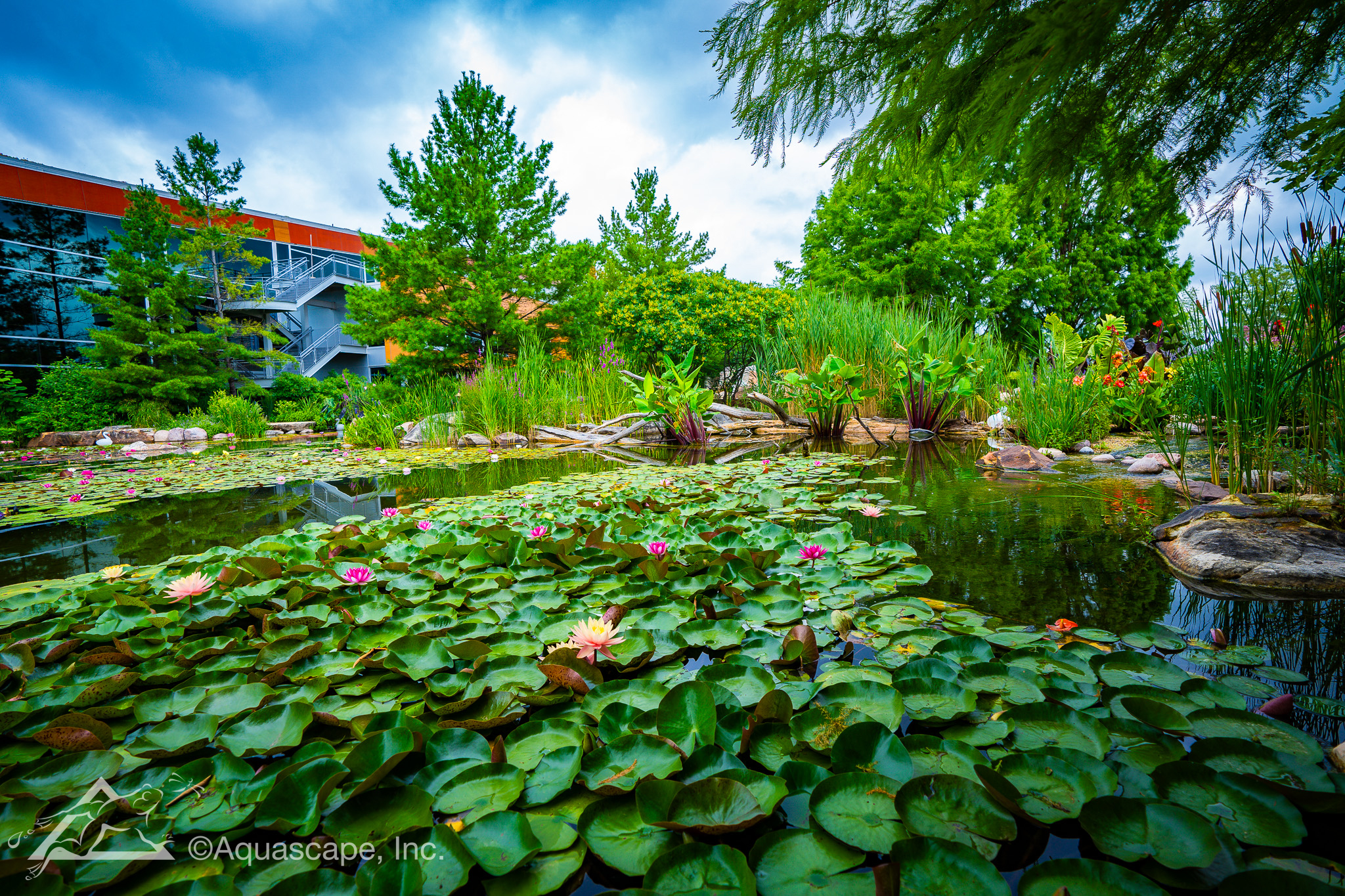 Custom koi pond installation in Tyler, Texas