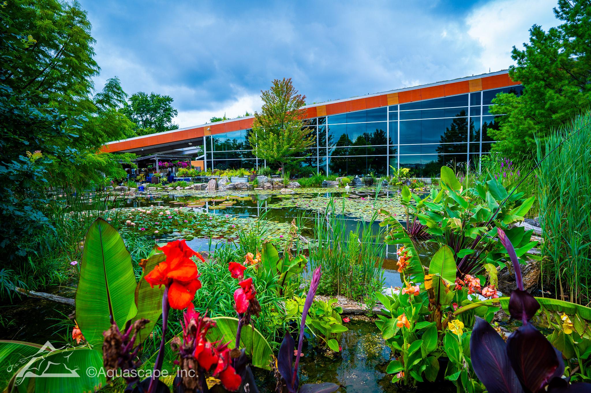 Aqualand Tropical Plantings 02 Custom koi pond installation in Tyler, Texas