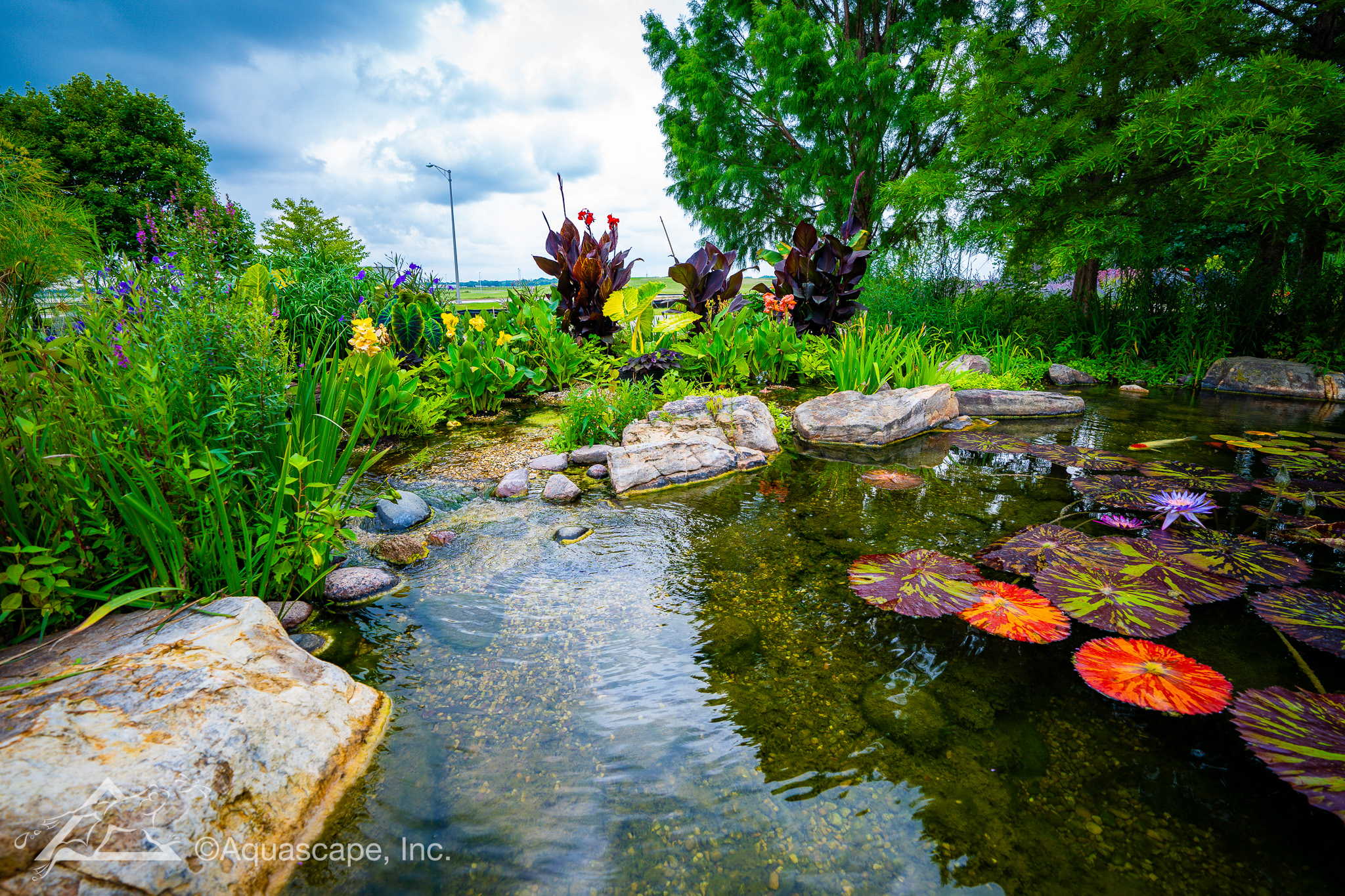 Custom koi pond installation in Tyler, Texas