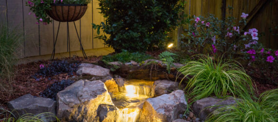 Custom koi pond installation in Tyler, Texas
