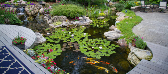 Custom koi pond installation in Tyler, Texas