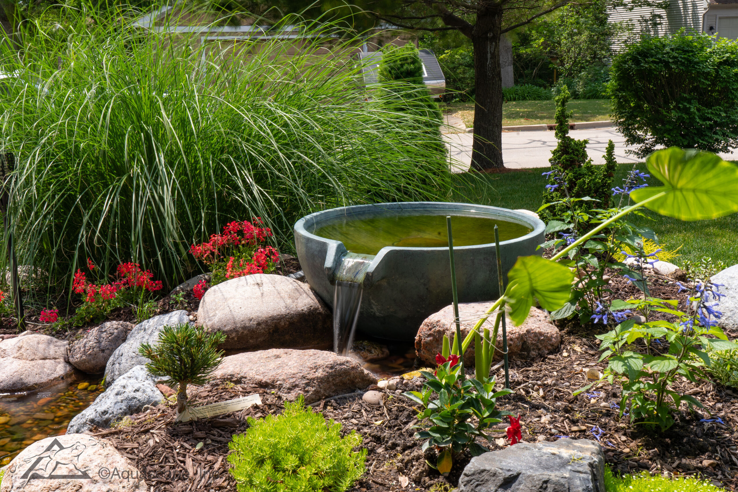 Custom koi pond installation in Tyler, Texas