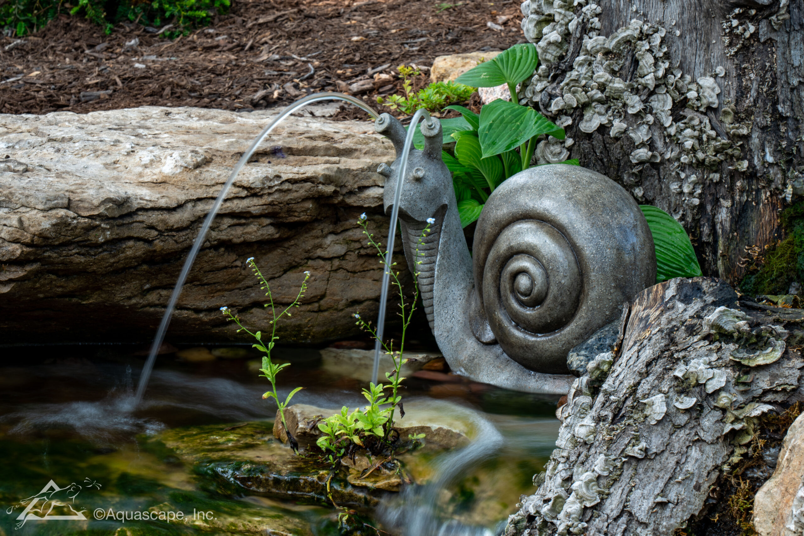 Custom koi pond installation in Tyler, Texas