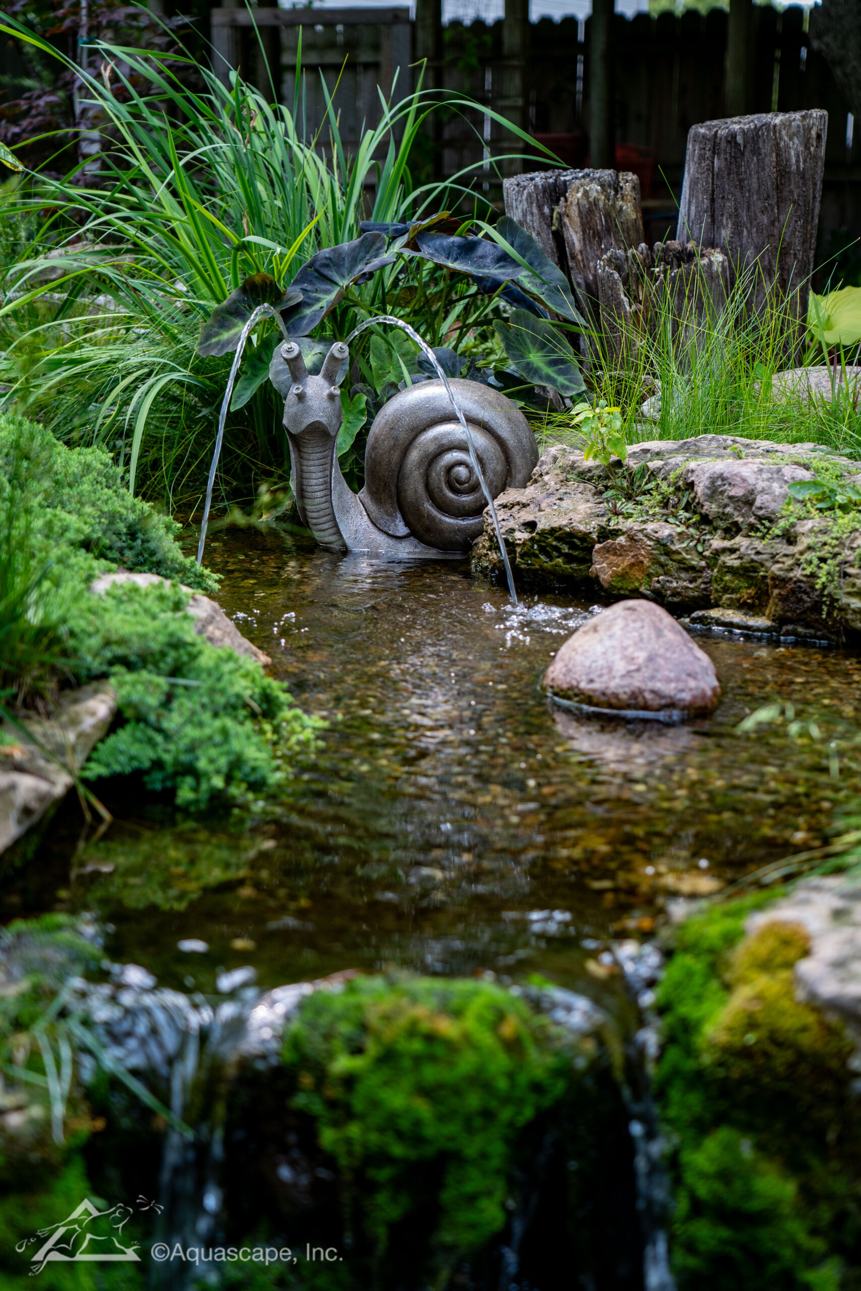 Silly Snail Spitter_02 Custom koi pond installation in Tyler, Texas