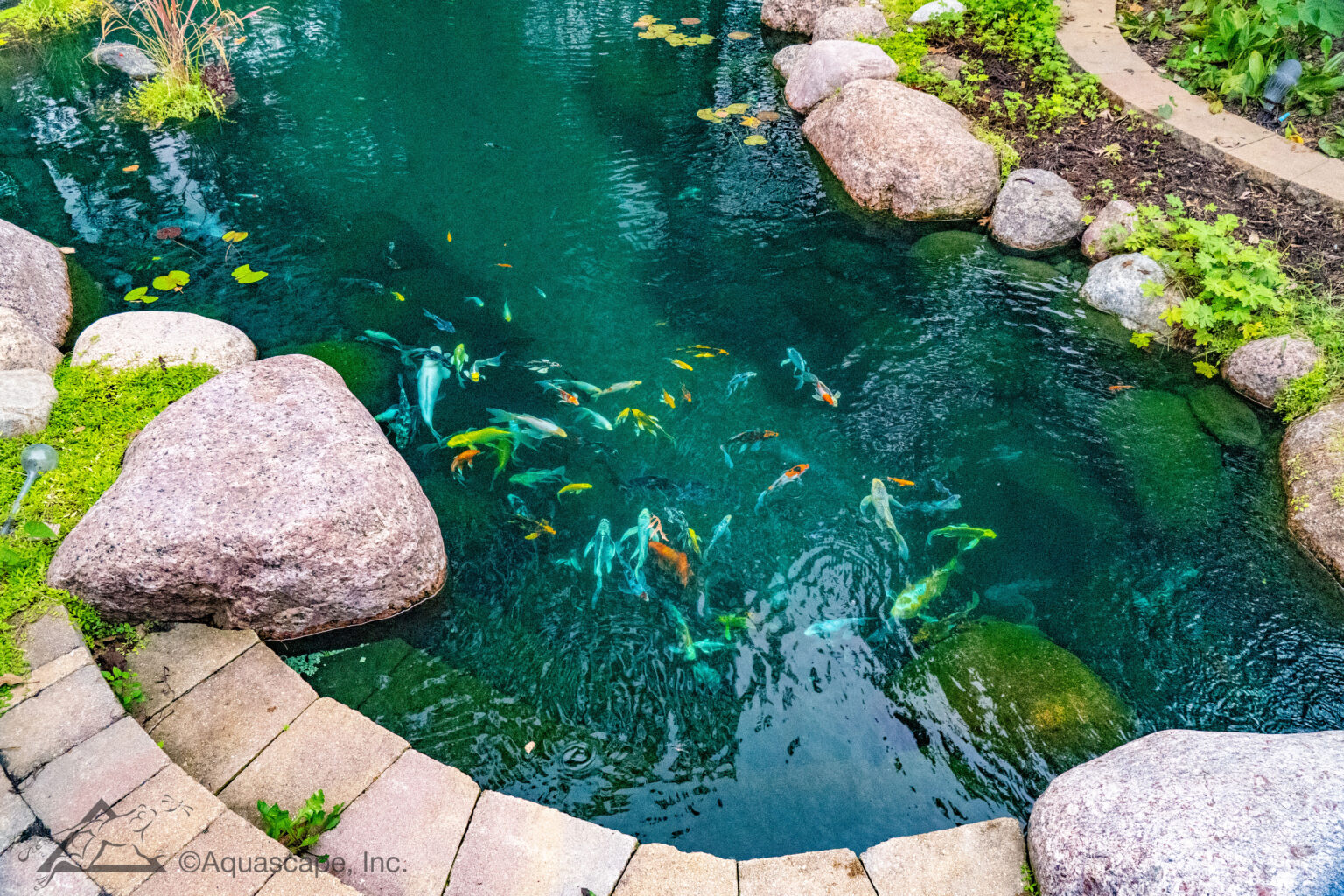 Custom Streams & Water Gardens