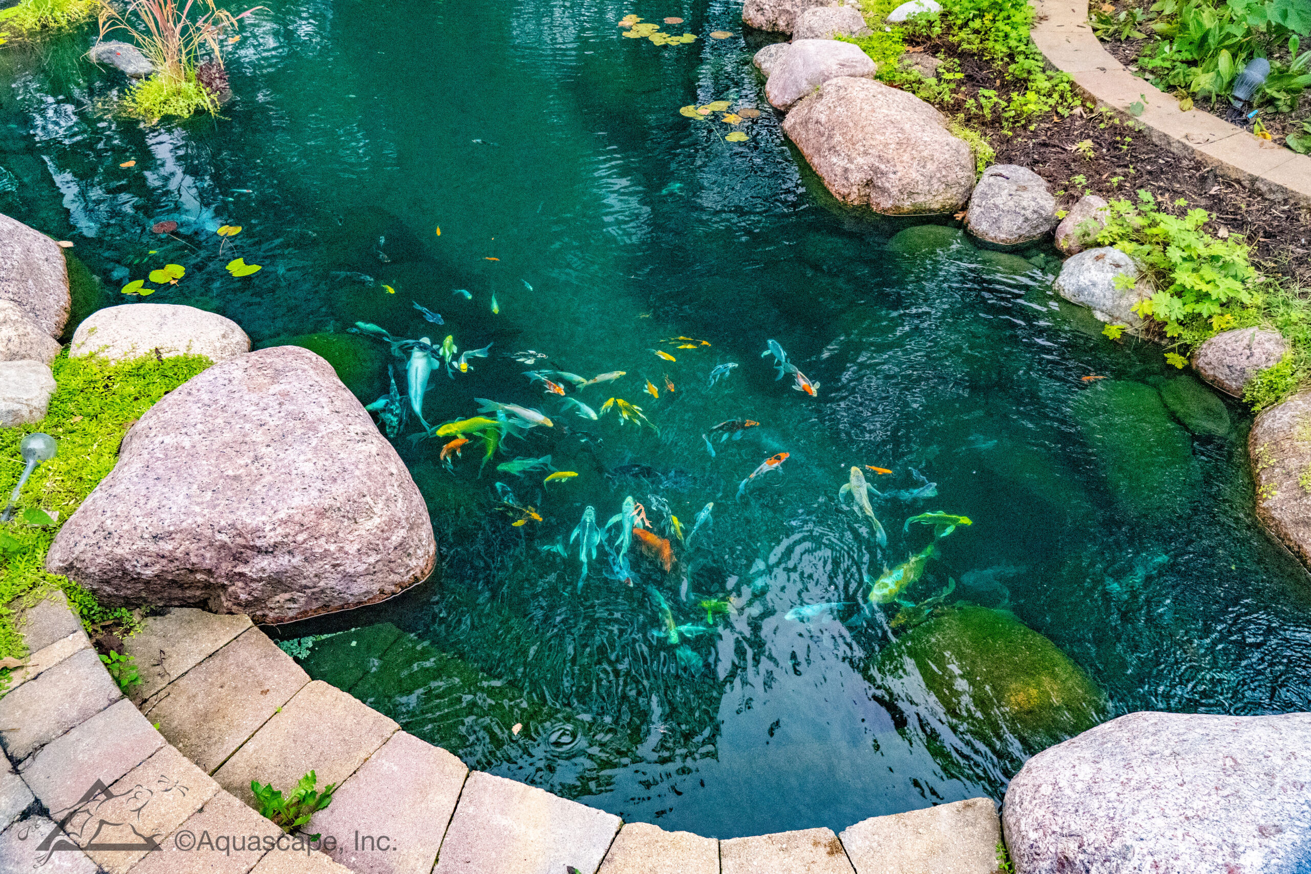 Custom koi pond installation in Tyler, Texas