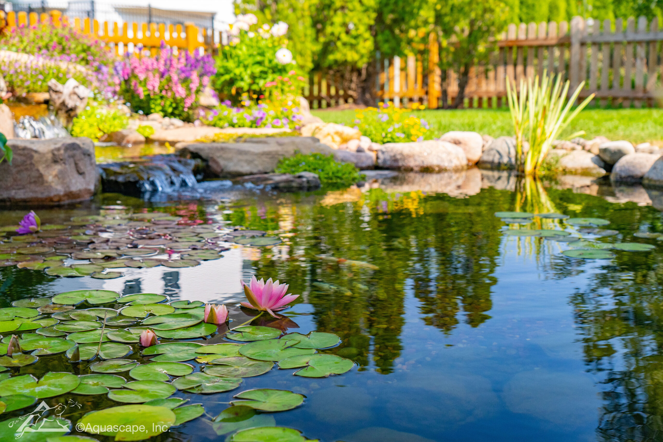 Custom koi pond installation in Tyler, Texas