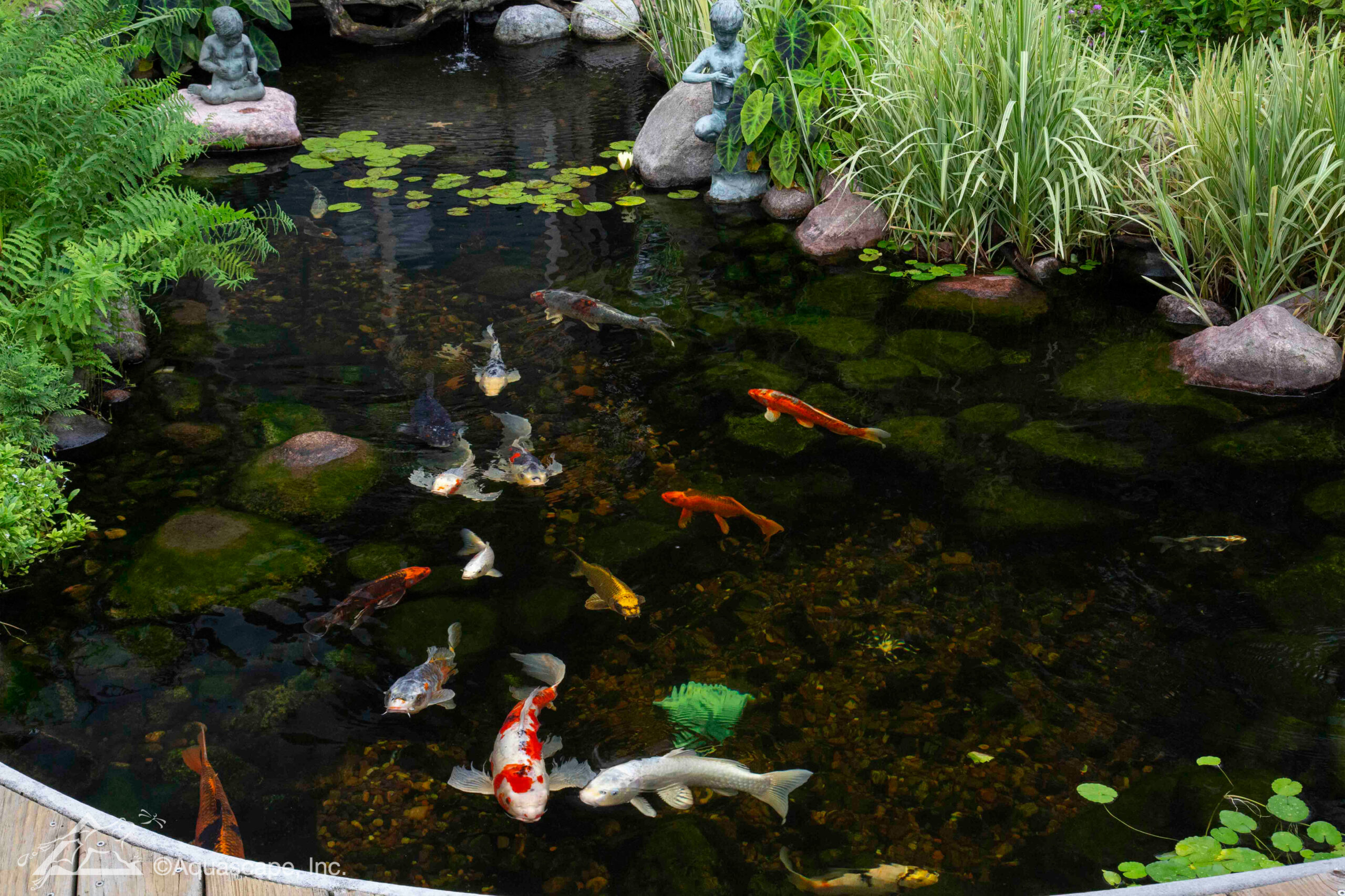 Custom koi pond installation in Tyler, Texas