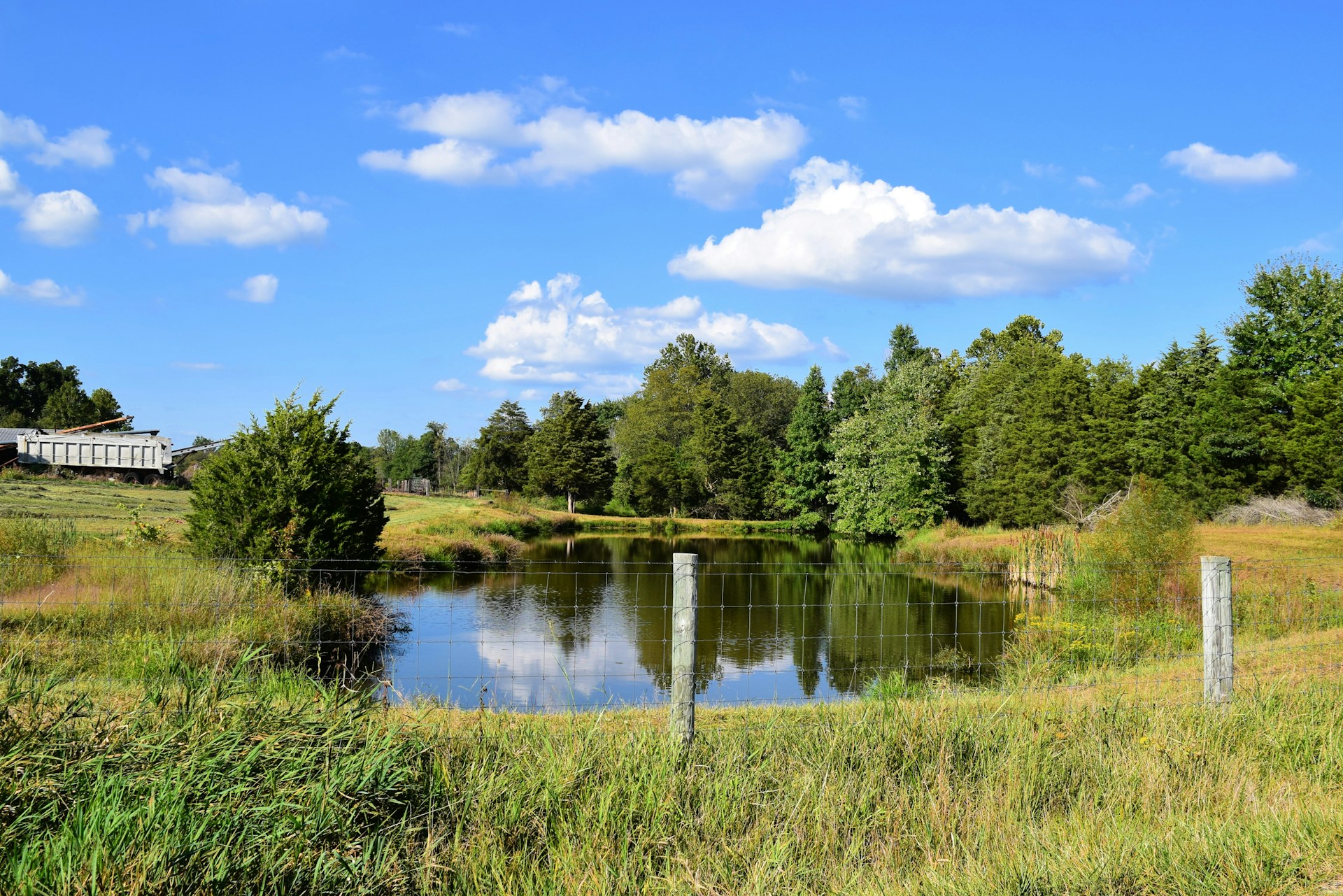 farm pond Custom koi pond installation in Tyler, Texas